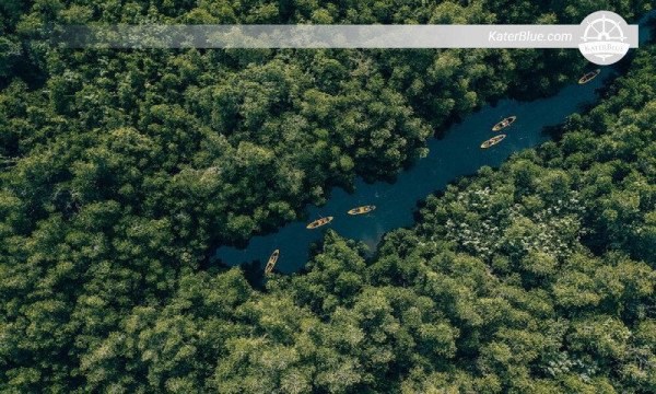 Explore mangroves by paddling a kayak in Ambalangoda-Sri Lanka