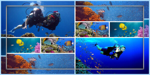 Explore Advance Open water Diver course Mount Lavinia-Sri Lanka