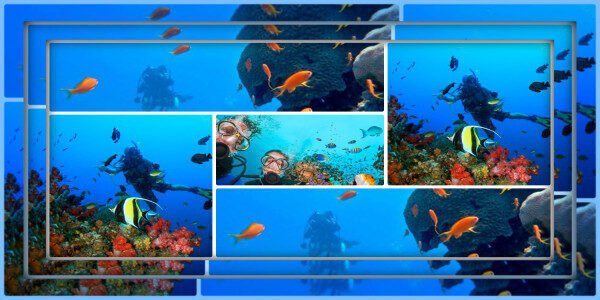 Open Water Diver Course in the clear blue waters of Mount Lavinia-Sri Lanka