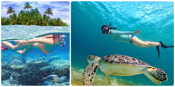 Snorkeling fun at the Snorkeler's paradise Nilaveli-Sri Lanka