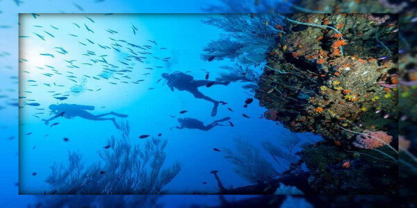 Open Water Diver Course Mount Lavinia-Sri Lanka