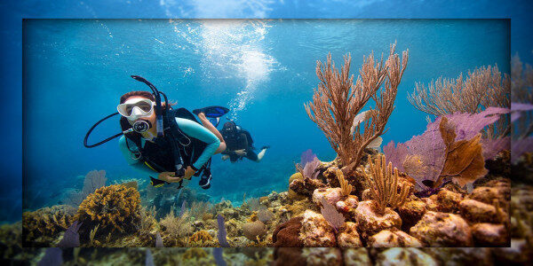 Open Water Diver Course Kalpitiya-Sri Lanka