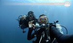 En popüler dalış sitelerinde eğlenceli dalış Kalpitiya-Sri lanka