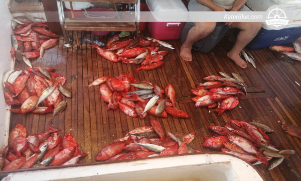 Adventures Fishing excursion Kalpitiya-Sri lanka 