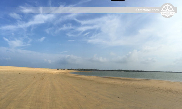 Experience the lovely surprise of the Lagoon's Marine Life Kalpitiya-Sri lanka 