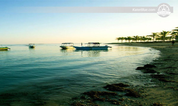 Experience the lovely surprise of the Lagoon's Marine Life Kalpitiya-Sri lanka 