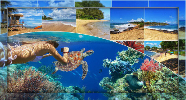 Explore the the largest coral reef in Sri Lanka Kalpitiya-Sri lanka 