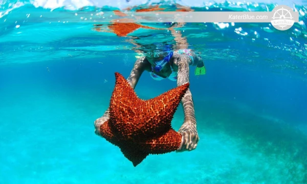 Wonderful swimming experience in the Natural Pool Palmillas,Dominican Republic