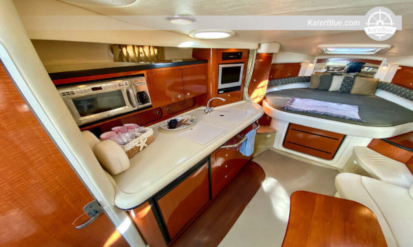 Sea Ray yacht mezza giornata di noleggio con skipper Marbella-Spagna