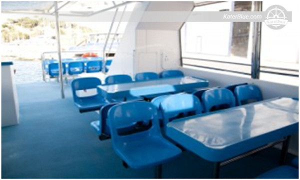 Sale Used Passenger Catamaran in La Gomera, Spain