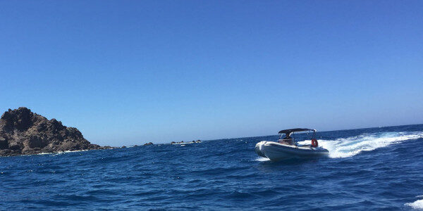 Tailored All-Day Cruise Enjoy Santorini, Greece