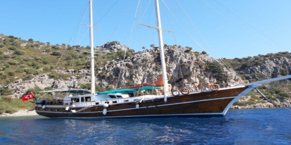 Charter di un giorno delle bellezze costiere turche Bodrum, Turchia