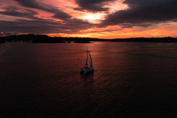 Skippered day charters Auckland New Zealand