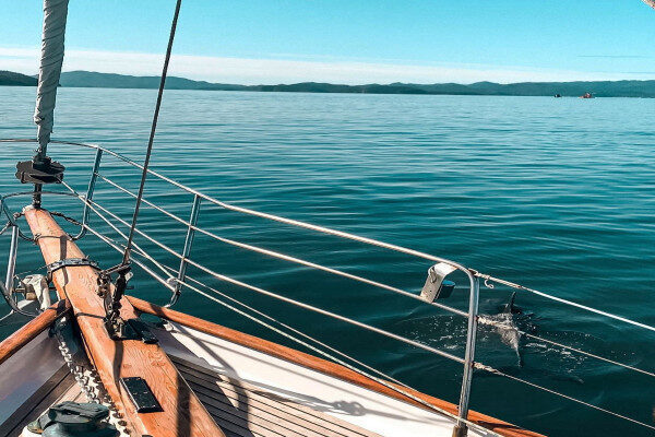 Traditional gullet day charter Matauri Bay New Zealand