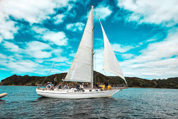 Traditional gullet day charter Waitangi New Zealand