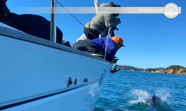 Skippered day charter Kawau Island New Zealand
