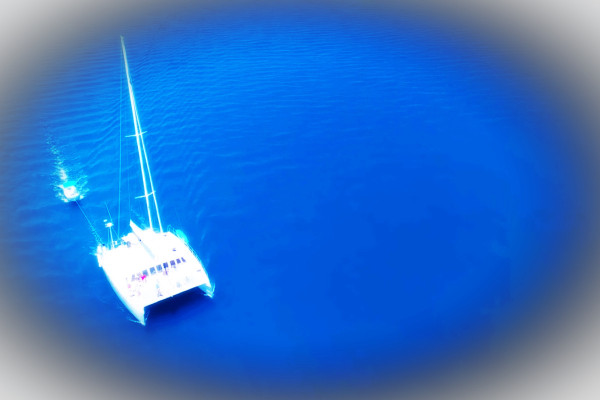 All inclusive catamaran half day charter San Carlos Mexico