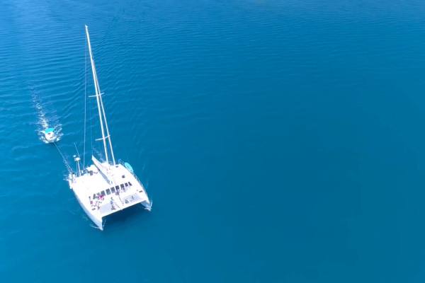 Aluguel de catamarã por meio dia em Baja California Sur, México