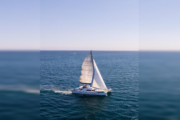 Catamaran offer luxury half day charter Sea-of-Cortez Mexico