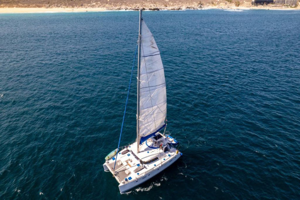 Lagoon catamaran half day charter offer Palmilla-Cove Mexico