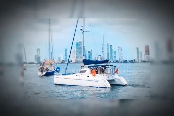 Wildcat catamaran half-day charter Neguanje Colombia