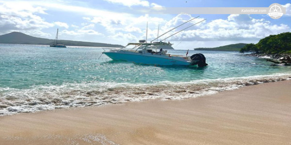 Underwater Sculpture Park  Day Charter St-George, Grenada
