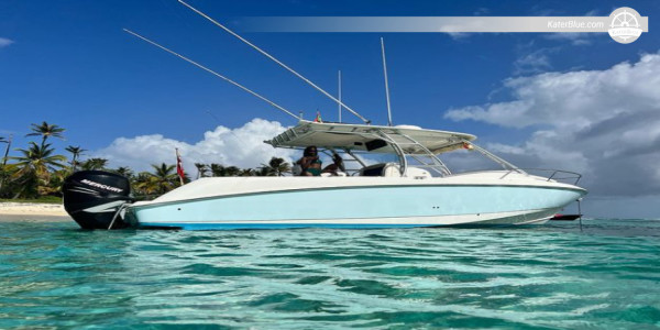 Motor Boat Day Charter Caribbean Coastline St-George, Grenada