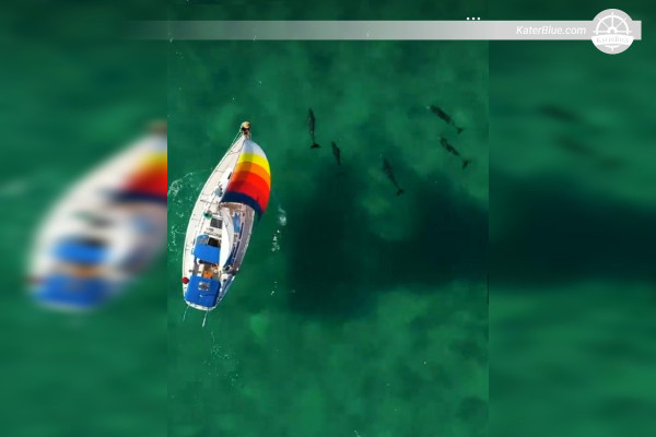 Nabídka pronájmu lodi s posádkou pro 6 osob v No-Name-Harbor, Spojené státy americké