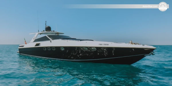 Day Charter Delight Cap Taillat Excursion Saint-Tropez, Prancis