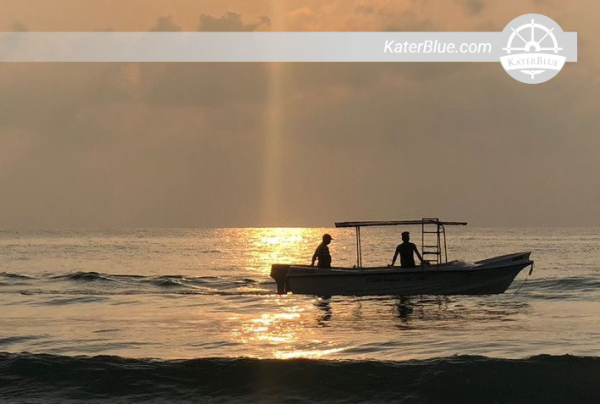 Amazing Whale and Dolphin watching Tour in Trincomalee, Sri Lanka
