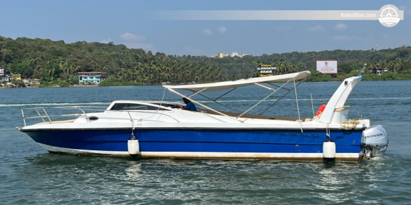 Unwind at Calangute Beach: Half Day Charter in Goa, India