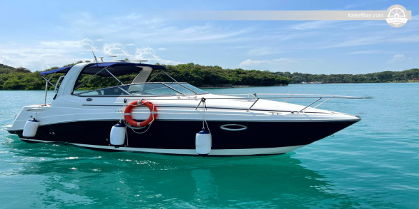 Sun and Fun at Sinquerim Beach: Half Day Charter, Goa, India