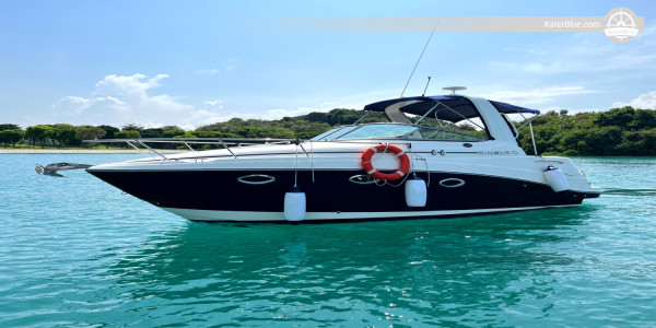 Relax at Candolim Beach: Half Day Charter in Goa, India