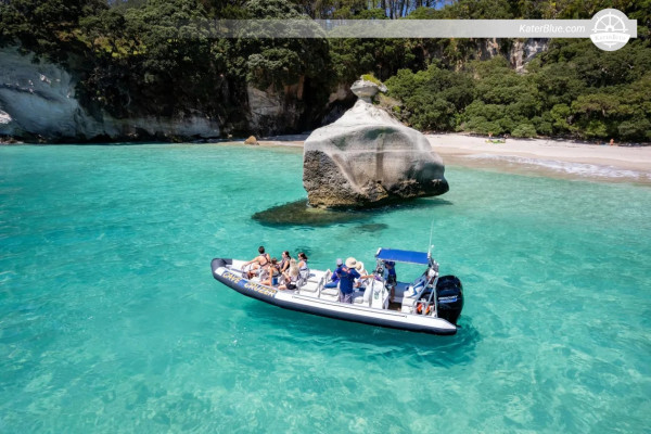 2 Hour Cathedral Cove Boat Tour Whitianga, New Zealand