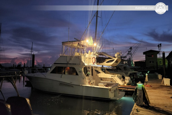 Pearl island 8-hours crewed excursion Panama-city, Panama