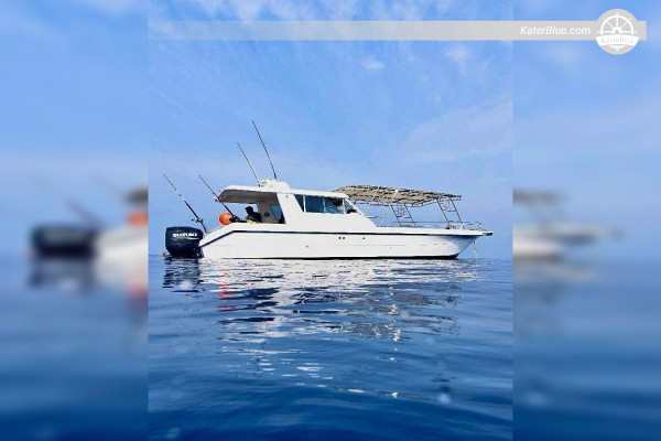 6-stündige Kreuzfahrt zur Insel Al-Buraidi – Luxuscharter ab Jeddah Marina