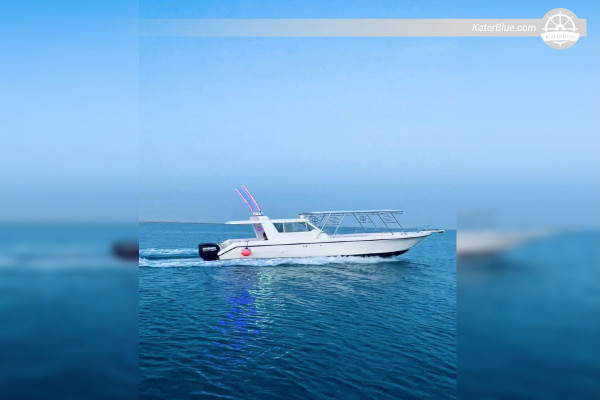 Rotes Meer Open Water Tour – 3-stündiges Schnorchelabenteuer, Jeddah Marina