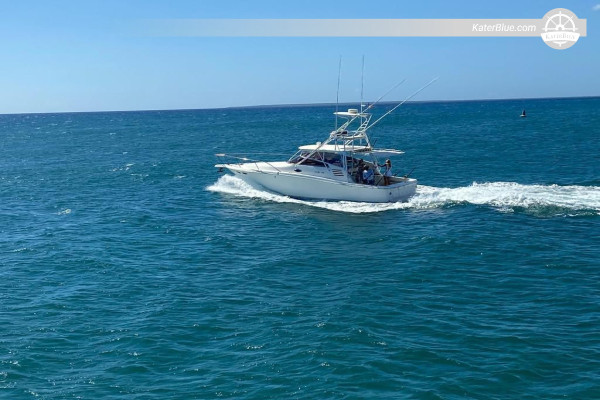 8-Hour Private Yacht Charter - Searay 52, Marina Cap Cana to Catalina Island