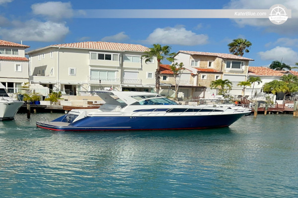 8-Hour Private Yacht Charter - Chris-Craft 43, Marina Cap Cana to Chavon River