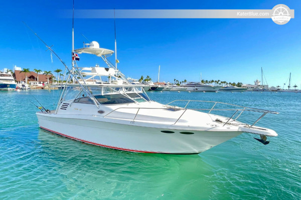 8-Hour Private Yacht Charter - Searay 52, Marina Cap Cana to Saona Island