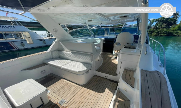 Location de yacht privé de 8 heures - Chris-Craft 43, de Marina Cap Cana à l'île de Catalina