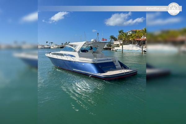 Location de yacht privé de 8 heures - Chris-Craft 43, de Marina Cap Cana à Palmilla Beach