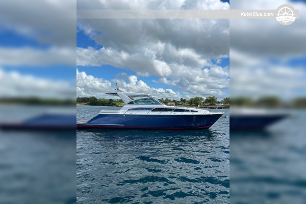 Location de yacht privé de 8 heures - Chris-Craft 43, de Marina Cap Cana à l'île de Catalina