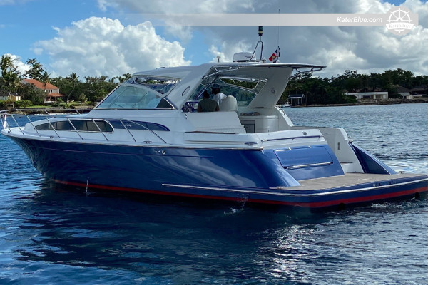 Location de yacht privé de 8 heures - Chris-Craft 43, Marina Cap Cana à Isla Catalinita
