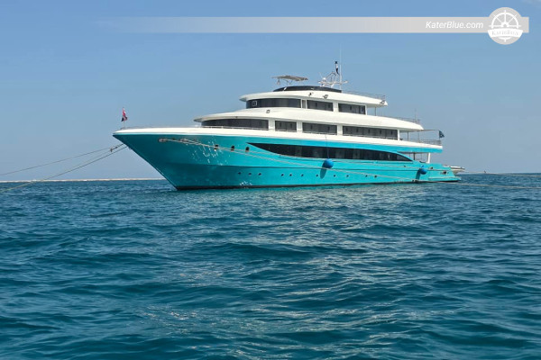 7-Night Red Sea Diving Safari: Wrecks, Reefs, & Dahab, Egypt