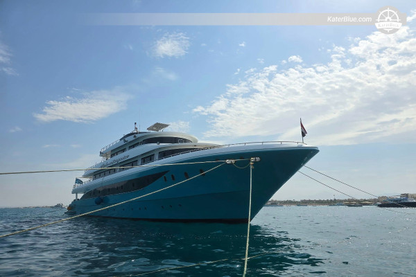 7-Night North Wrecks & Safaga Diving Safari: Wrecks, Reefs & Marine Adventures, Egypt