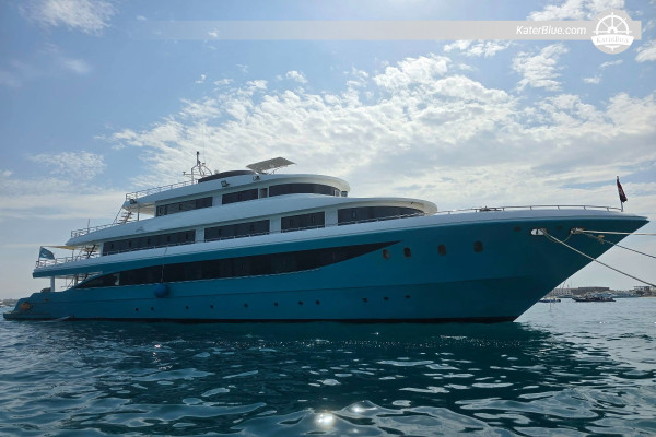 7-Night North Wrecks & SS Turkia Diving Safari: WWII Wrecks & Vibrant Reefs, Egypt