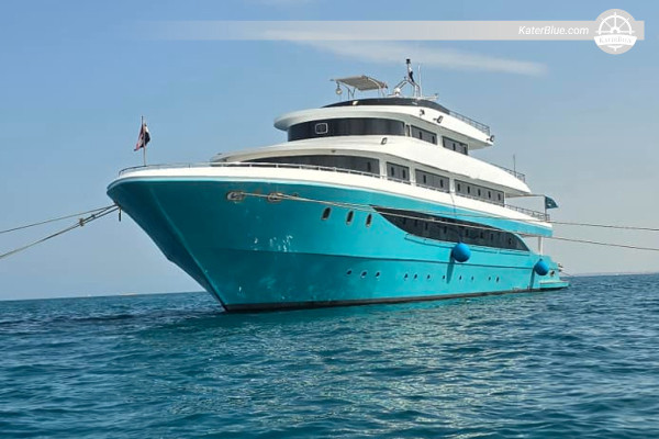 7-Night Red Sea Diving Safari: Iconic Wrecks & Vibrant Reefs, Egypt