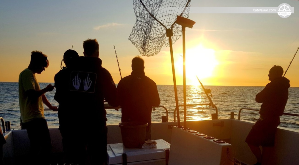 3 timmars kvällsfiskecharter i Jersey, Kanalöarna