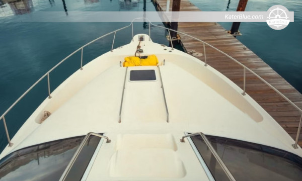 رحلة بحرية لمدة 4 ساعات عند غروب الشمس إلى جزيرة بيدرو غونزاليس على متن يخت Sea Ray 47 من مارينا فلامنكو، بنما